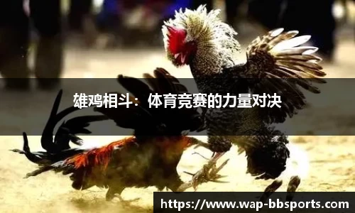 贝博体育平台